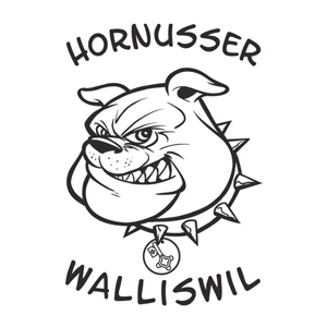 HG Walliswil