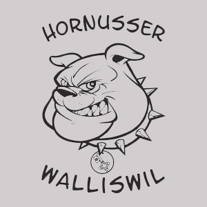 HG Walliswil